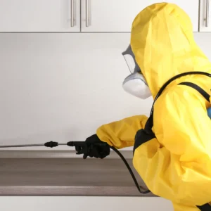 مكافحة حشرات بالرياض